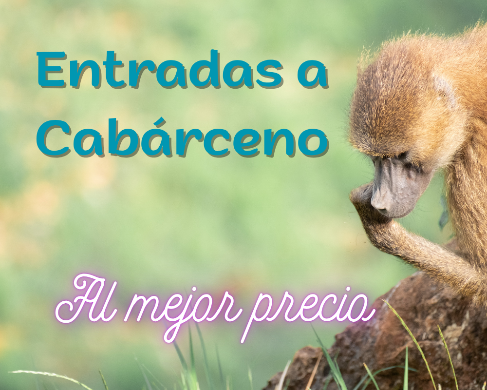 Cabarceno